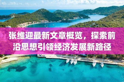 张维迎最新文章概览，探索前沿思想引领经济发展新路径