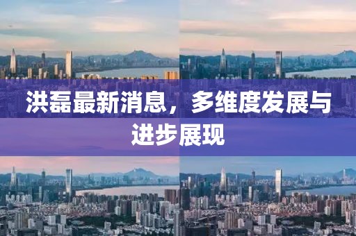 洪磊最新消息，多维度发展与进步展现