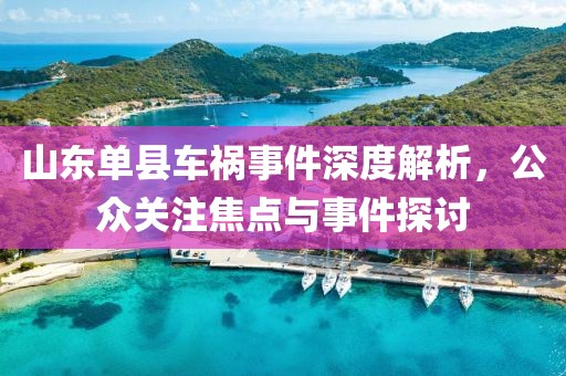 山东单县车祸事件深度解析，公众关注焦点与事件探讨