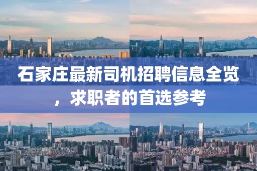 石家庄最新司机招聘信息全览，求职者的首选参考