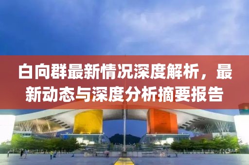 白向群最新情况深度解析，最新动态与深度分析摘要报告