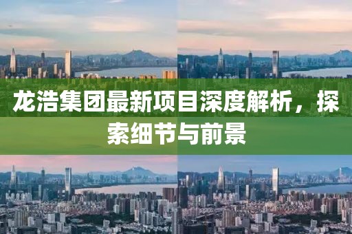 龙浩集团最新项目深度解析，探索细节与前景
