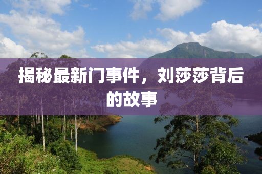 揭秘最新门事件，刘莎莎背后的故事