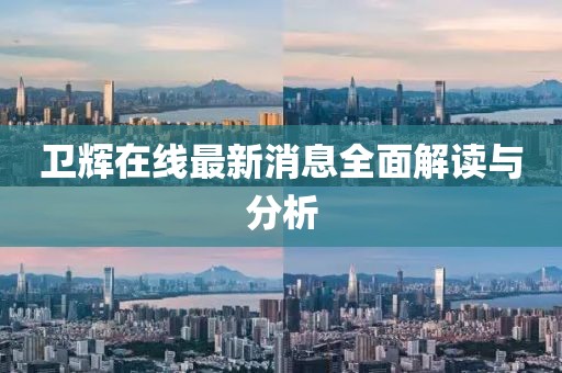 卫辉在线最新消息全面解读与分析
