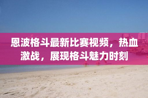 恩波格斗最新比赛视频，热血激战，展现格斗魅力时刻