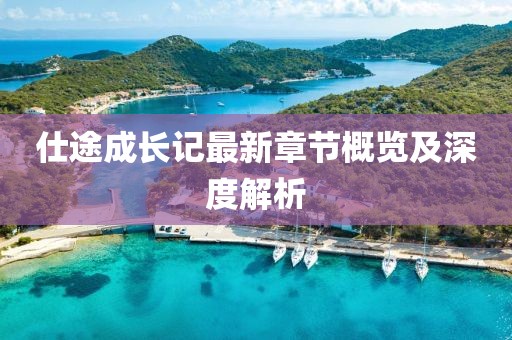 仕途成长记最新章节概览及深度解析