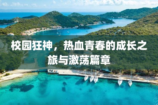 校园狂神，热血青春的成长之旅与激荡篇章