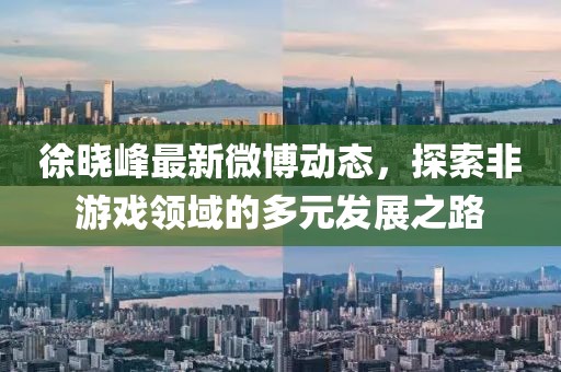 徐晓峰最新微博动态，探索非游戏领域的多元发展之路
