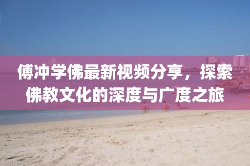 傅冲学佛最新视频分享，探索佛教文化的深度与广度之旅