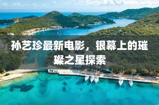 孙艺珍最新电影，银幕上的璀璨之星探索