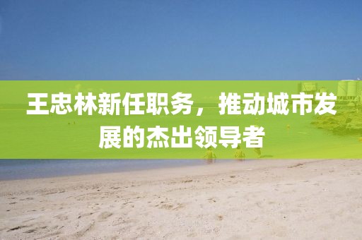 王忠林新任职务，推动城市发展的杰出领导者