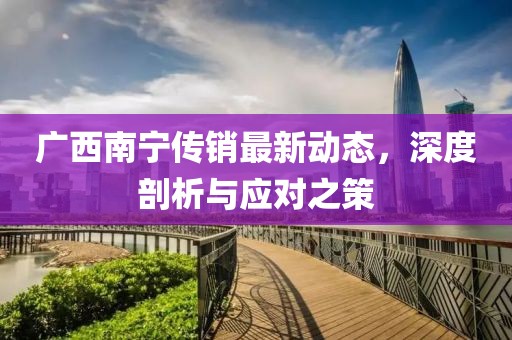 广西南宁传销最新动态，深度剖析与应对之策