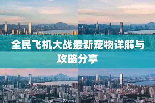 全民飞机大战最新宠物详解与攻略分享
