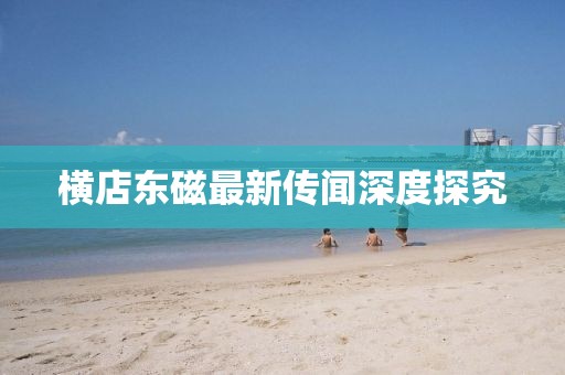 横店东磁最新传闻深度探究