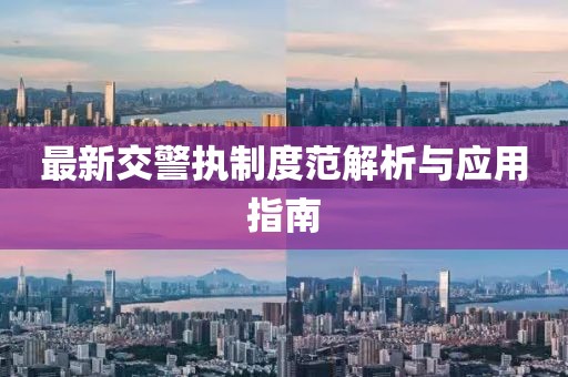 最新交警执制度范解析与应用指南