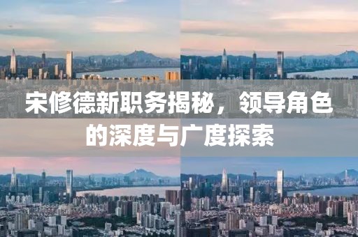 宋修德新职务揭秘，领导角色的深度与广度探索