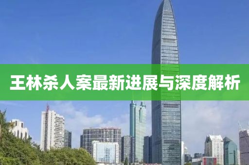 王林杀人案最新进展与深度解析