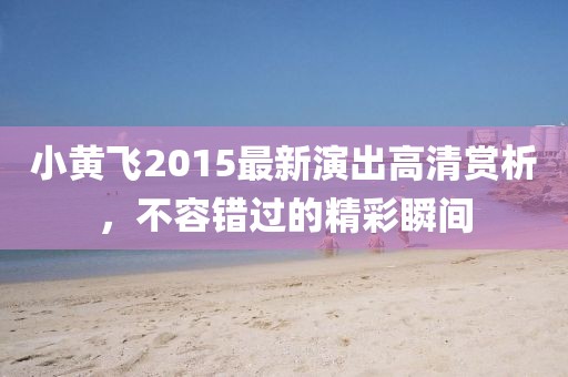 小黄飞2015最新演出高清赏析，不容错过的精彩瞬间