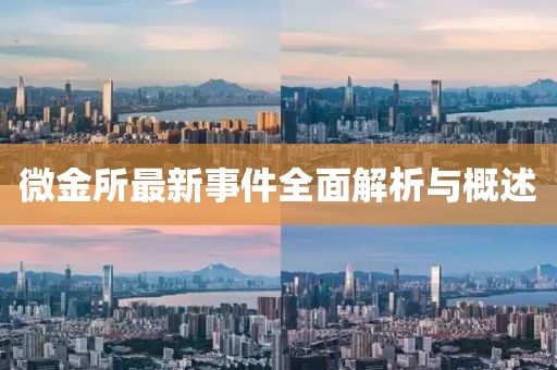 微金所最新事件全面解析与概述