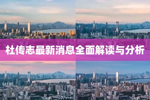 杜传志最新消息全面解读与分析