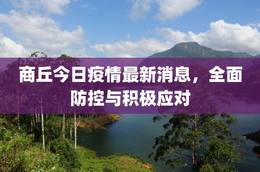商丘今日疫情最新消息，全面防控与积极应对