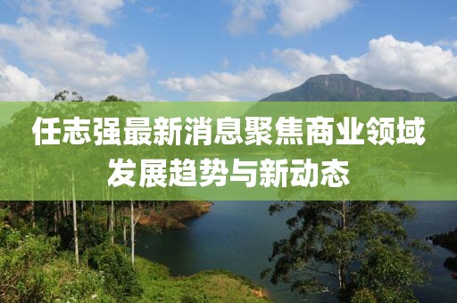 任志强最新消息聚焦商业领域发展趋势与新动态