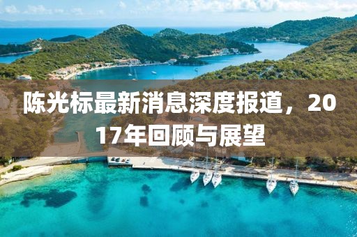 陈光标最新消息深度报道，2017年回顾与展望