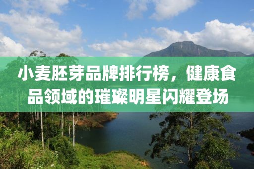 小麦胚芽品牌排行榜，健康食品领域的璀璨明星闪耀登场