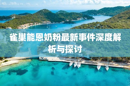 雀巢能恩奶粉最新事件深度解析与探讨