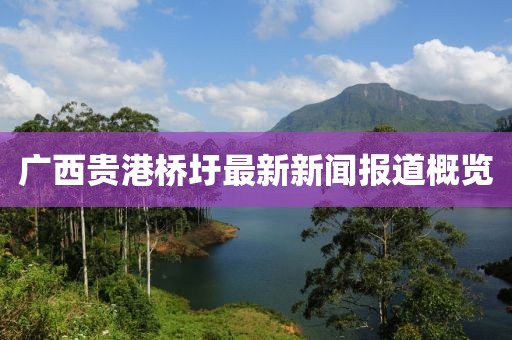 广西贵港桥圩最新新闻报道概览