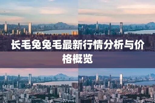 长毛兔兔毛最新行情分析与价格概览