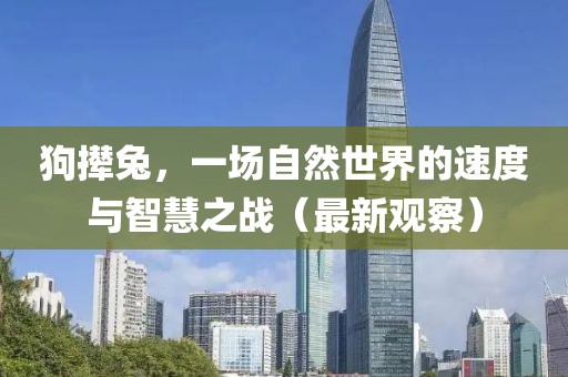 狗撵兔，一场自然世界的速度与智慧之战（最新观察）