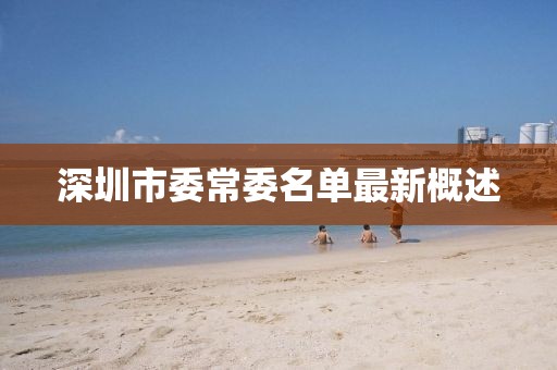 深圳市委常委名单最新概述