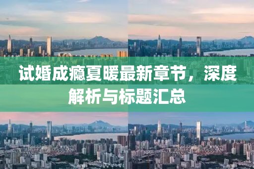 试婚成瘾夏暖最新章节，深度解析与标题汇总