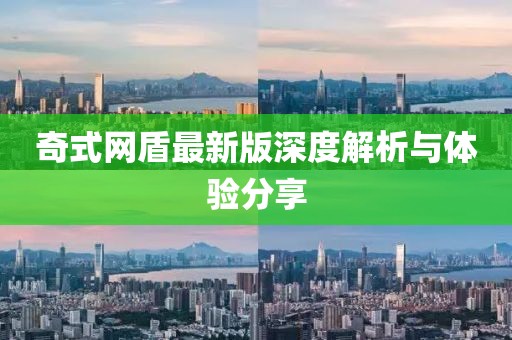 奇式网盾最新版深度解析与体验分享