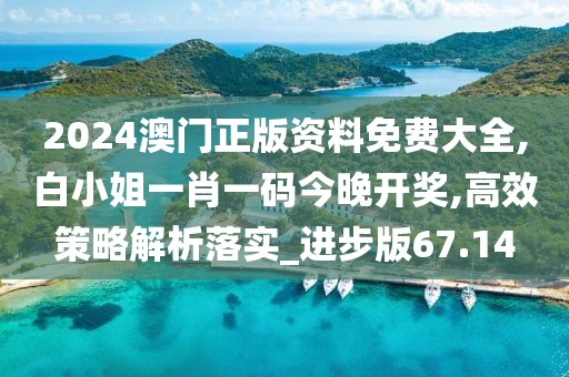 2024澳门正版资料免费大全,白小姐一肖一码今晚开奖,高效策略解析落实_进步版67.14