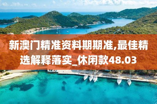 新澳门精准资料期期准,最佳精选解释落实_休闲款48.03
