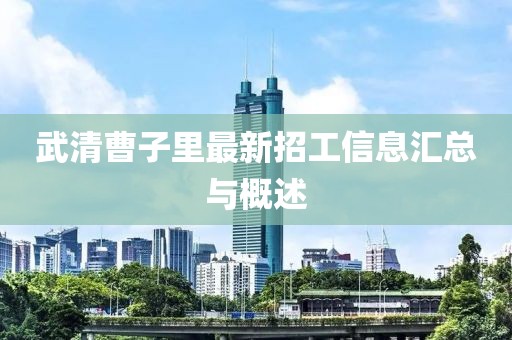 武清曹子里最新招工信息汇总与概述