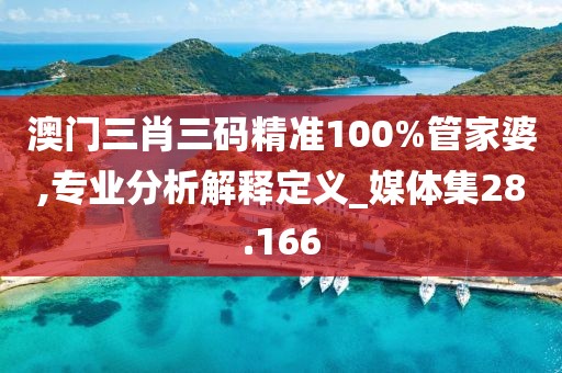 澳门三肖三码精准100%管家婆,专业分析解释定义_媒体集28.166