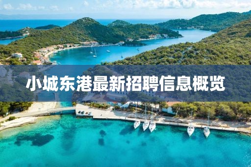 小城东港最新招聘信息概览