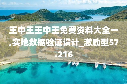 王中王王中王免费资料大全一,实地数据验证设计_激励型57.216