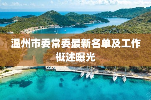 温州市委常委最新名单及工作概述曝光