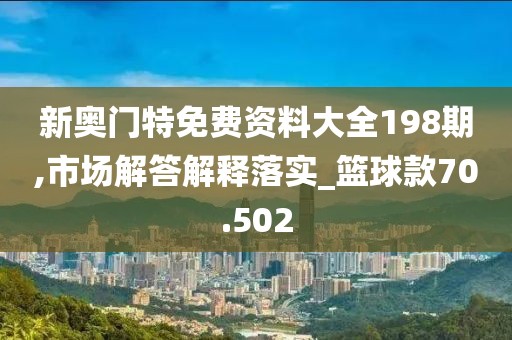 新奥门特免费资料大全198期,市场解答解释落实_篮球款70.502