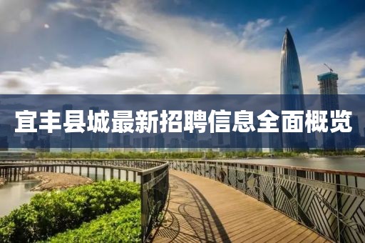 宜丰县城最新招聘信息全面概览