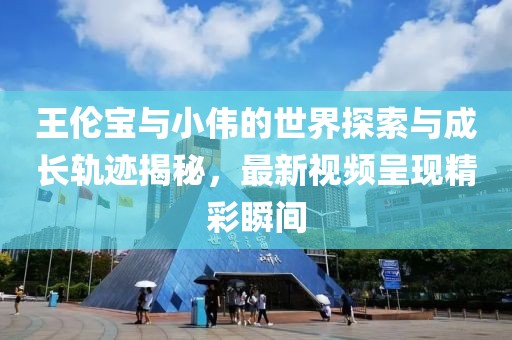 王伦宝与小伟的世界探索与成长轨迹揭秘，最新视频呈现精彩瞬间