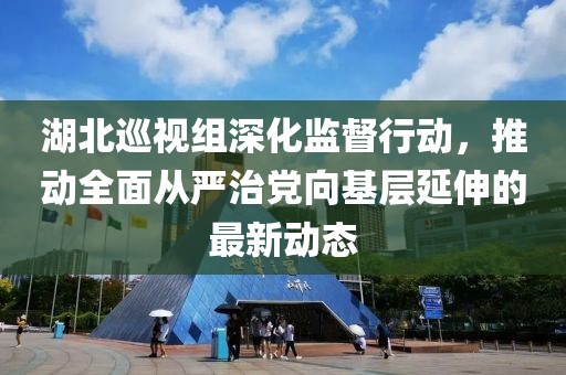 湖北巡视组深化监督行动，推动全面从严治党向基层延伸的最新动态