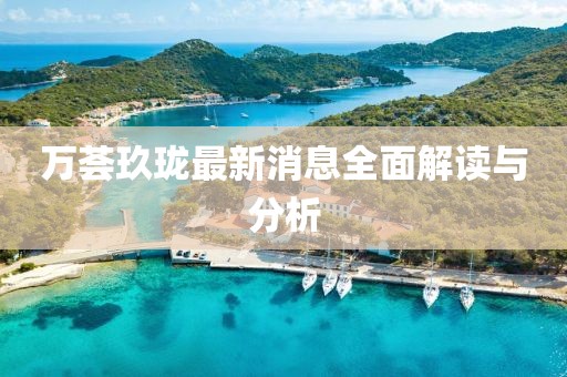 万荟玖珑最新消息全面解读与分析