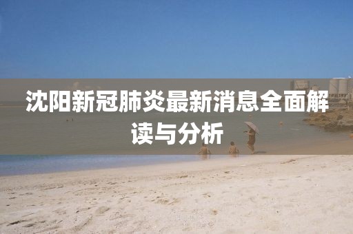 沈阳新冠肺炎最新消息全面解读与分析