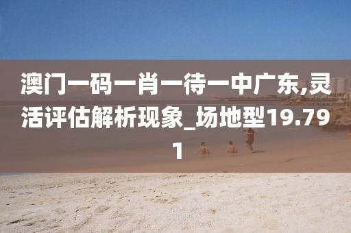 澳门一码一肖一待一中广东,灵活评估解析现象_场地型19.791