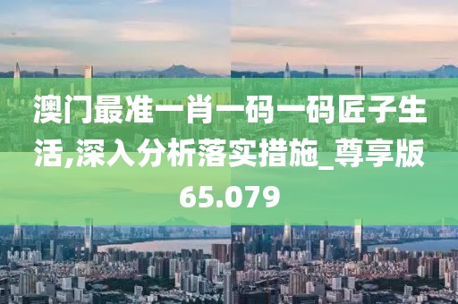 澳门最准一肖一码一码匠子生活,深入分析落实措施_尊享版65.079
